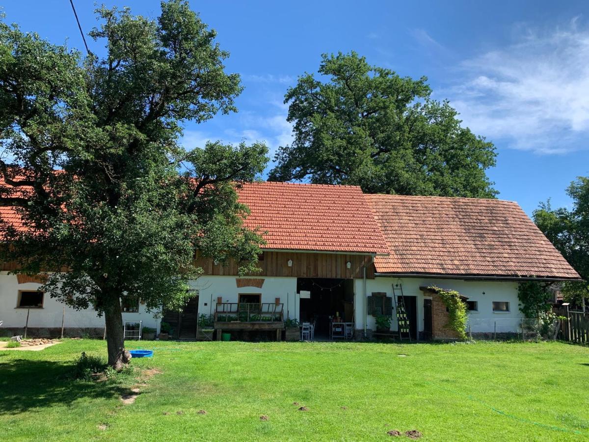 Kellerstoeckl Am Veganen Bio-Lebenshof "Varm - Die Vegane Farm" Sulb Luaran gambar