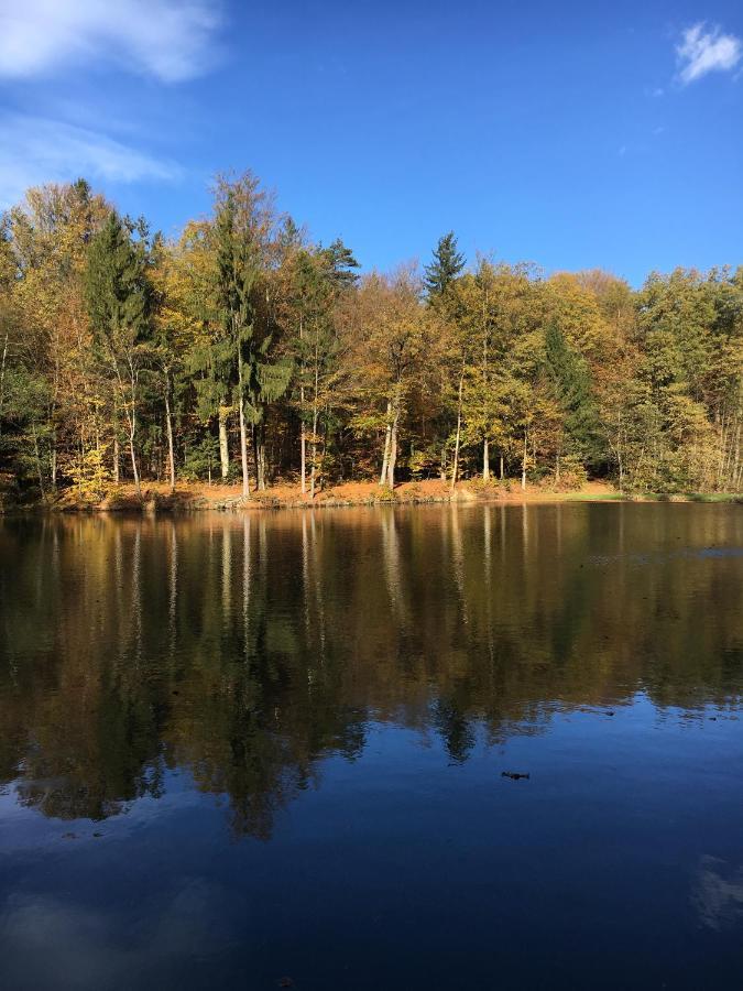 Kellerstoeckl Am Veganen Bio-Lebenshof "Varm - Die Vegane Farm" Sulb Luaran gambar