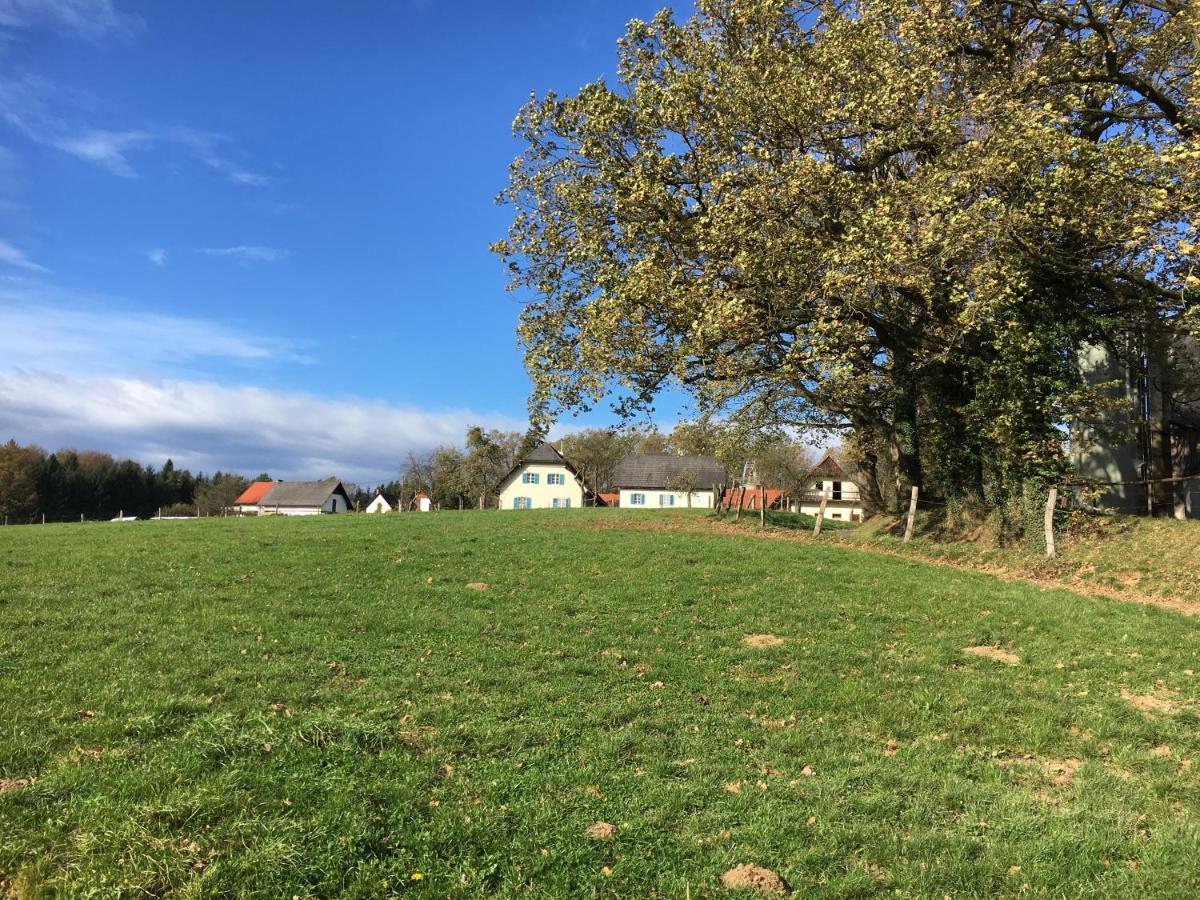 Kellerstoeckl Am Veganen Bio-Lebenshof "Varm - Die Vegane Farm" Sulb Luaran gambar