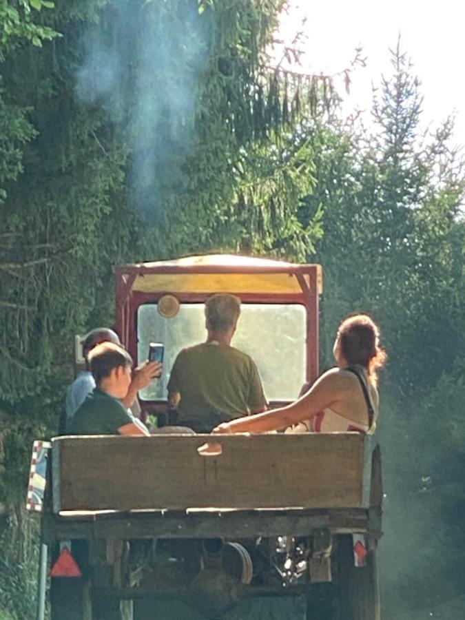Kellerstoeckl Am Veganen Bio-Lebenshof "Varm - Die Vegane Farm" Sulb Luaran gambar