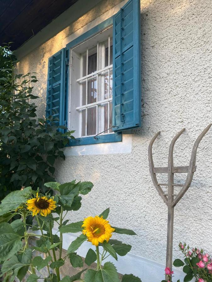 Kellerstoeckl Am Veganen Bio-Lebenshof "Varm - Die Vegane Farm" Sulb Luaran gambar