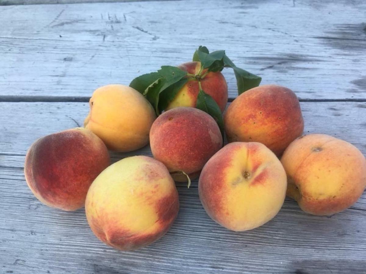 Kellerstoeckl Am Veganen Bio-Lebenshof "Varm - Die Vegane Farm" Sulb Luaran gambar