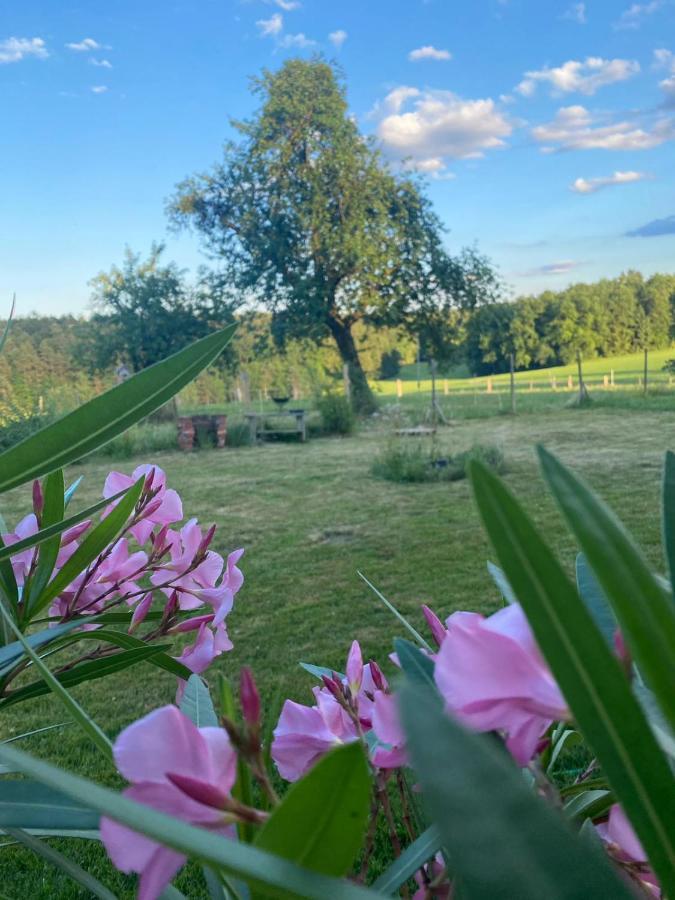 Kellerstoeckl Am Veganen Bio-Lebenshof "Varm - Die Vegane Farm" Sulb Luaran gambar